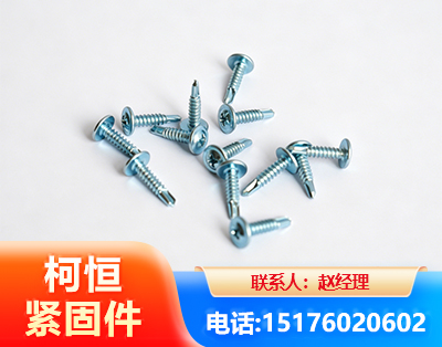 廊坊华司钻尾丝