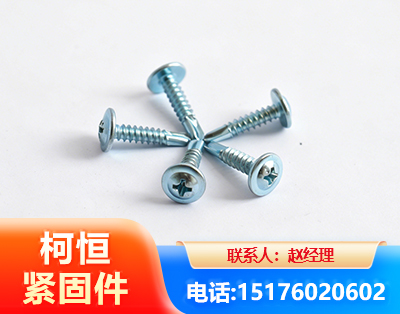 廊坊华司钻尾丝