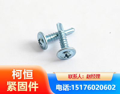 廊坊华司钻尾丝