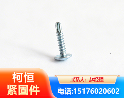 廊坊华司钻尾丝